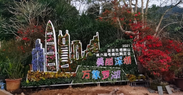 深圳市梧桐山毛棉杜鵑花會不銹鋼花架定制案例