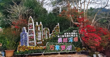 美麗深圳，萬象羅湖，梧桐山毛杜鵑花會導(dǎo)視標(biāo)識項(xiàng)目案